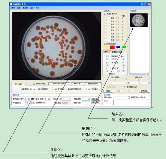 菌落計(jì)數(shù)區(qū)